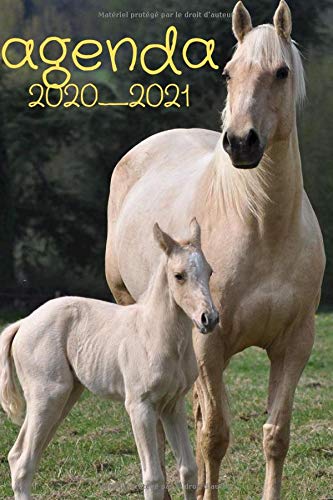 Télécharger agenda 2020_2021 cheval: agenda scolaire livre En ligne