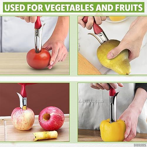 Apple Corer Tool – Apple Core Remover with Ergonomic Plastic Red Handle, Durable Food-Safe Stainless Steel, 7.3\" Easy to Use and Clean, Corer Tool Kitchen Essential for Fruit And Vegetable Prep