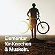 Magnesium - 365 Kapseln (Jahresvorrat) - 667mg, davon 400mg elementares Magnesium pro Kapsel - Laborgeprüft, hochdosiert, vegan