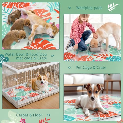 Tapis absorbant lavable pour chiens contre fuites et glissades