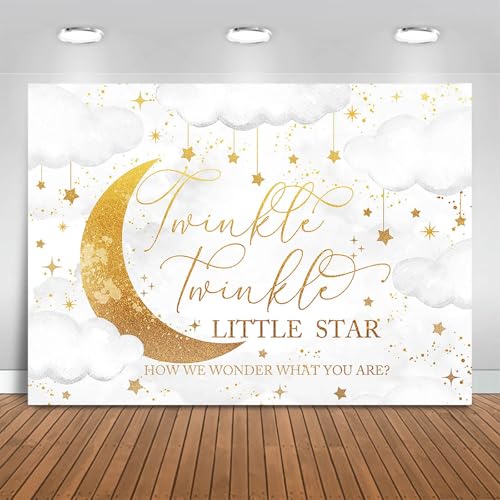 Fitumiw Twinkle Twinkle Little Star Gender Reveal Backdrop Pink or Blue How We Wonder What You are Gender Reveal Background Party Decoration Moon and Star Boy or Girl Banner (Grey, 8x6ft)