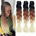 6 piezas Ali Show Ombre sintético trenzado, trenzas gigantes, trenzas Kanekalon Mambo...