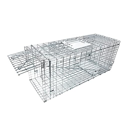 Large Collapsible Humane Live Animal Cage Trap No-Kill Trapping Kit for Humane Catch Release Rabbits, Stray Cat, Squirrel, Raccoon, All Fit Sized Animals, Heavy Duty, 2-Door 31"x11.5"x12.5"
