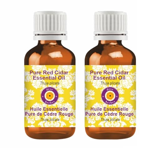 dève herbes Pure Red Cidar Essential Oil (Thuja plicata) Natural Therapeutic Grade Steam Distilled (Pack of Two) 100mlx2 (6.76 oz)