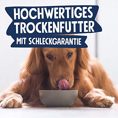 Pets Deli Soft Trockenfutter für Hunde mit Huhn & Kürbis, 2kg