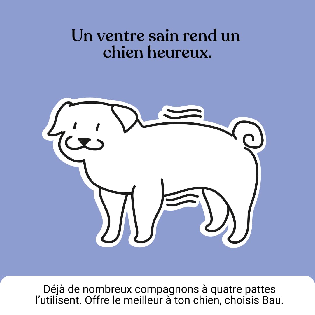BAU Probiotiques pour Chien, Ferments Lactiques Canins, Soutien Gastro-Intestinal, Équilibre de la Flore Intestinale avec Ingrédients Naturels – 60 Comprimés