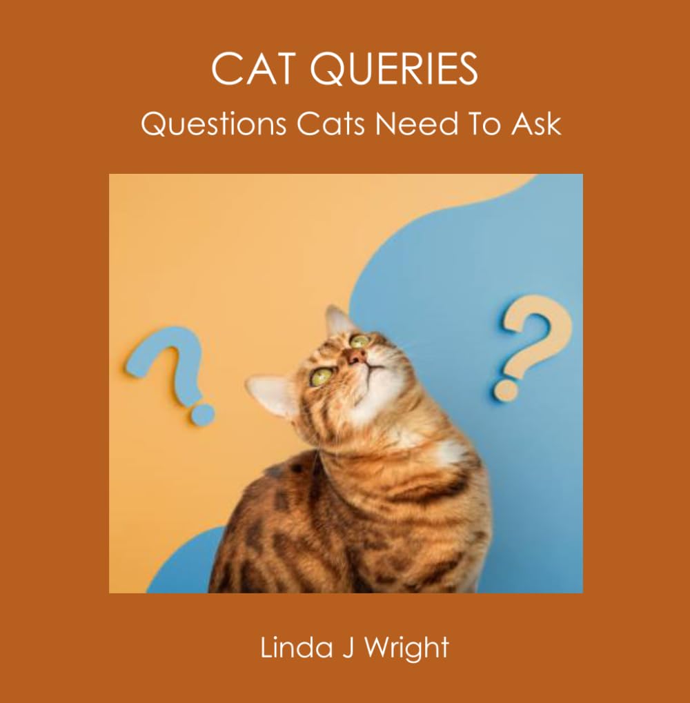 CAT QUERIES: Questions Cats Need To Ask