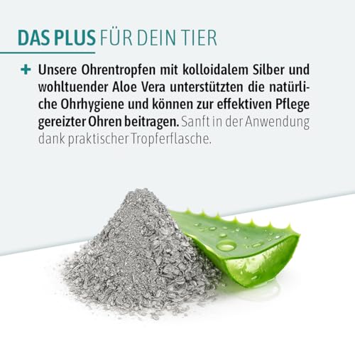 AniGo Ohrentropfen mit kolloidalem Silber 50ml I Für Hunde & Katzen I SEHR GUT bei Ohrentzündungen, Juckreiz, Keime, Pilze und Bakterien, Ohrenpflege, Ohrenhygiene, Gesunde Ohren