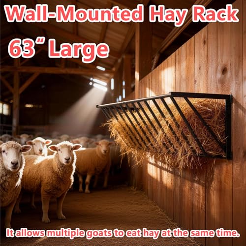 Wall Mounted Hay Feeder & Blanket Holder, 63" 67 Gal Heavy Duty Steel Hay Rack for Horse Stall, Goat Shed, Sheep Barn, Organizer for Feeding and Storage