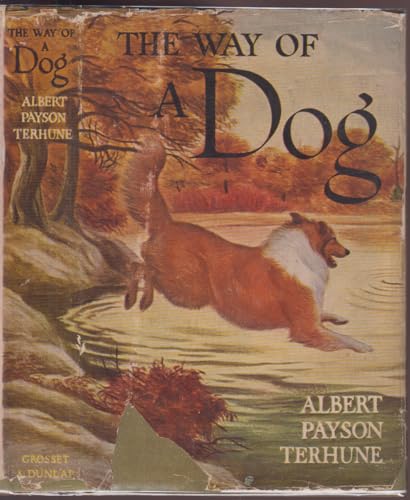 The way of a dog