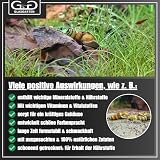 GlasGarten Snail Dinner | 27g – Premium Schneckenfutter, Hauptfutter für Süßwasser-Schnecken, aus 100% natürlichen Zutaten gepresst, schonend getrocknet