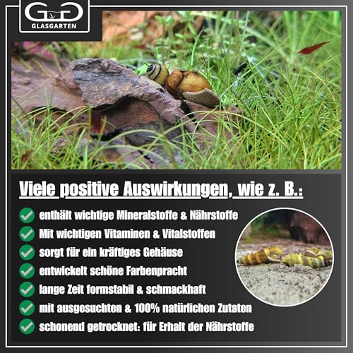 GlasGarten Snail Dinner | 27g – Premium Schneckenfutter, Hauptfutter für Süßwasser-Schnecken, aus 100% natürlichen Zutaten gepresst, schonend getrocknet