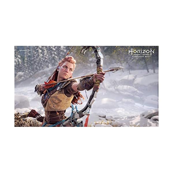 Horizon Forbidden West - Edición Coleccionista [PS5] - Image 3