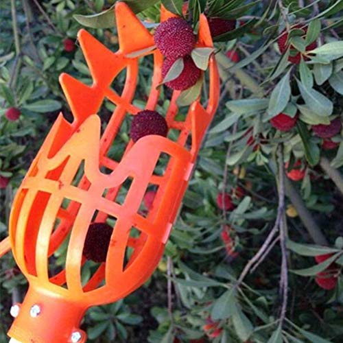 Recolector de frutas 23 Imagen adicional