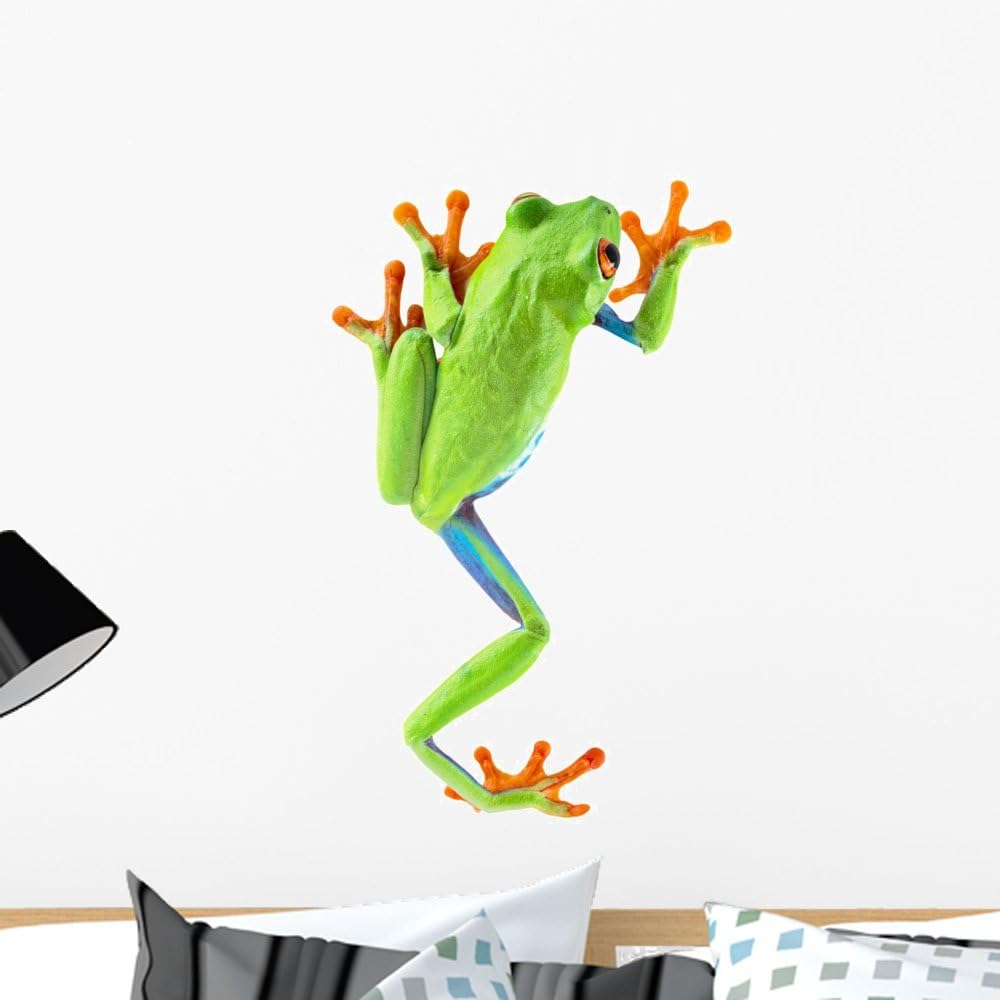 Red Eyed Tree Frog Wall Decal Wallmonkeys Peel and Stick Animal Graphics (24 in H x 15 in W) WM183974