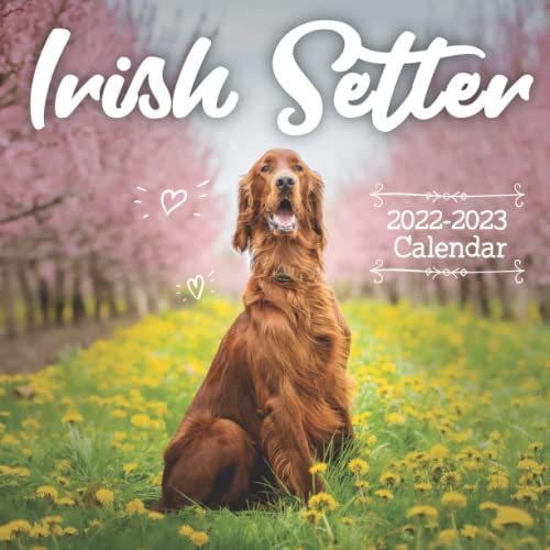 Irish Setter Calendar 20222023 full color calendar from