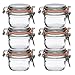 Le Parfait Super Terrine - 125ml French Glass Canning Jar w/Straight Body, Airtight Rubber Seal & Glass Lid, 4oz (Pack of 6) Stainless Wire