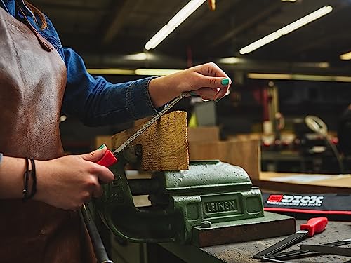 F. Dick Feilengriff (Bohrung: 10 mm; Länge: 120 mm; Feilen: 250 - 300 mm; Kunststoff) 4191