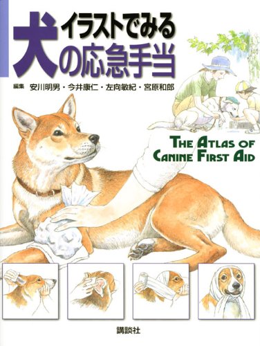 Amazon.co.jp: イラストでみる犬の応急手当 (KS農学専門書) : 今井