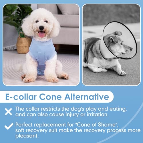 Image of cyeollo Dog Surgery Recovery Suit Soft Breathable Female Male Pet Bodysuit for Spay, Neuter, Surgical Recovery Shirt for Small Medium Large Dogs, Blue, XL