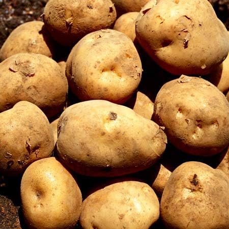 kCY  Ⴊ MLTCY 10kgbzNzNHEÂ݈ibYn鏒