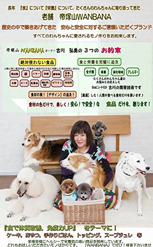 犬用のケーキおすすめ10選 生クリーム不使用も Heim ハイム
