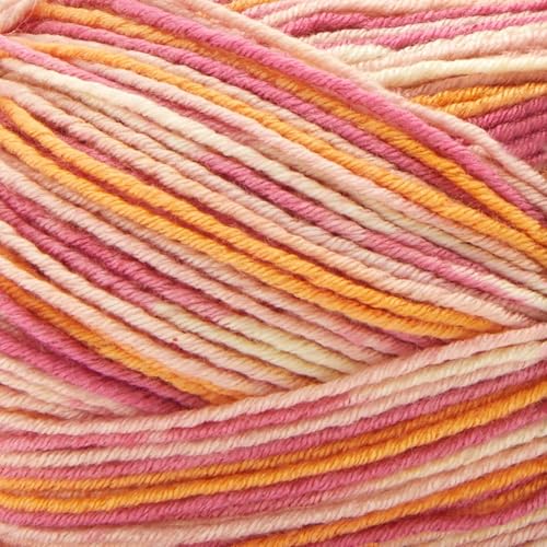 Image of Premier Yarns Fruits, Acrylic Sock Yarn, 2-Pack Bundled with Bella's Crafts Stitch Markers (Pink Grapefruit)