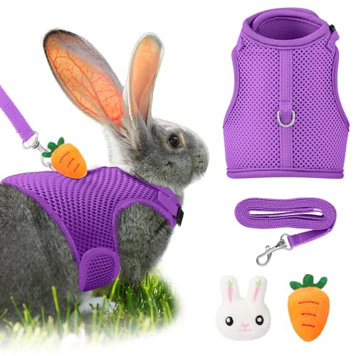 Image of Easter Bunny Costume Rabbit Harness and Leash Set with 2 Cute Decorations Bunny Clothes Adjustable Buckle Breathable Mesh Vest Harness for Rabbits Ferret Small Pig Puppy(Purple,Fresh Pattern)