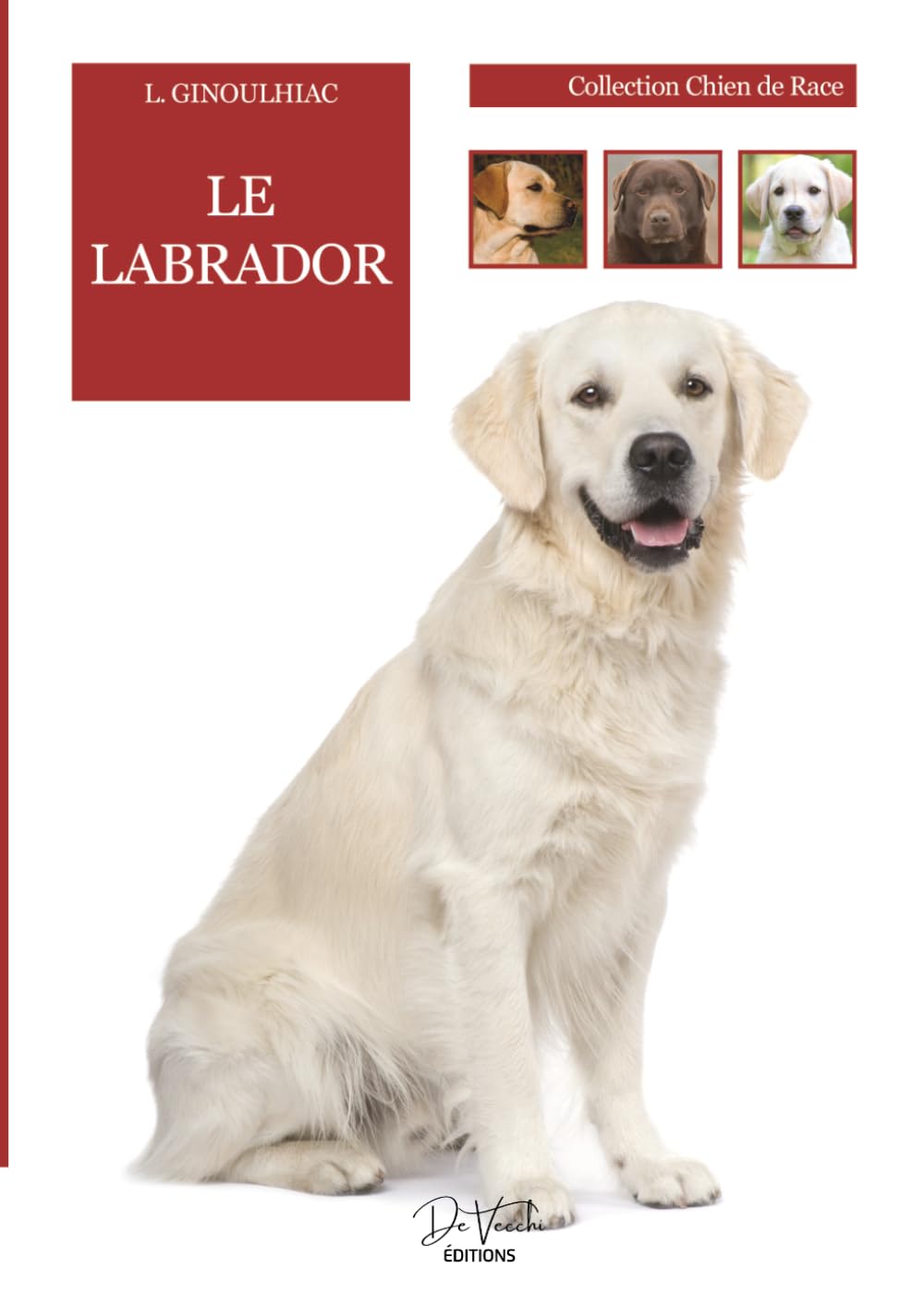Le Labrador: origines, caractère, éducation et soins au quotidien
