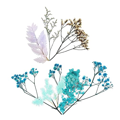 Set de flores secas para manualidades decorativas miniatura 1