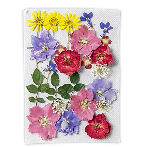 CUDDIKAJI 9 X (Multi) Pingente de Flores Secas Naturais Decoração Flores Em Relevo Colorido