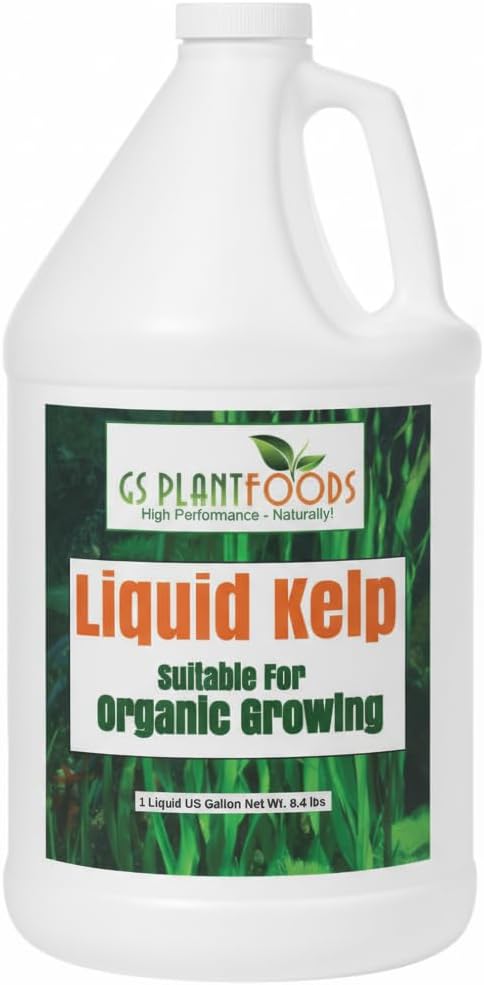 GS Plant Foods Liquid Kelp Fertilizer – Suitable for Organic Growing, OMRI Listed Seaweed Concentrate for Lawns, Gardens & Soil - 1 Gallon (Makes Up To 800+ Gallons)