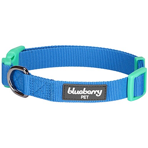 Blueberry Pet 7 Patterns Laid Back Weekender Club Blue Cotton Blend Neckerchief Scarf Bandana Adjustable Dog Collar, Small, Neck 12"-16" #TOP3