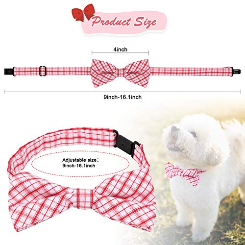 Juguetes Para Perro, Toy Imagen adicional