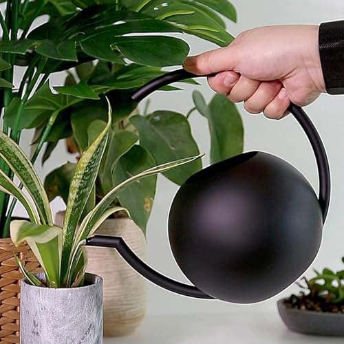 Arrosoir de 1000 ml avec long bec en acier inoxydable Morain pour jardin et fleurs - 5