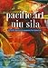 Pacific Art Niu Sila