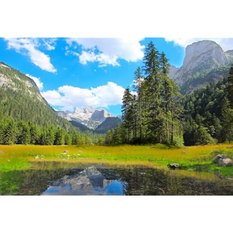 AOFOTO 7x5ft Forest Tree Backdrop Cover