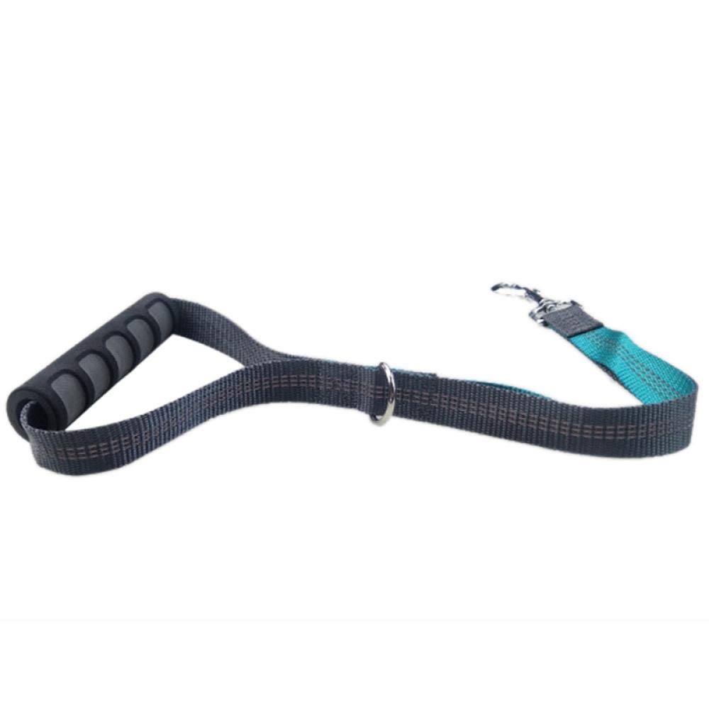Correas para Perros, Correa Corta for Perros, Correa Reflectante for pasear, Entrenamiento, Cuerda de tracción for Grandes, Correas for Correr, Gris(Blue)