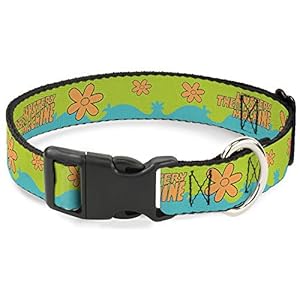 Scooby Doo Pet Collar, Dog Collar Plastic Buckle, Scooby Doo The Mystery Machine Paint Job Green Aqua Orange, 15 to 24 Inches 1.0 Inch Wide