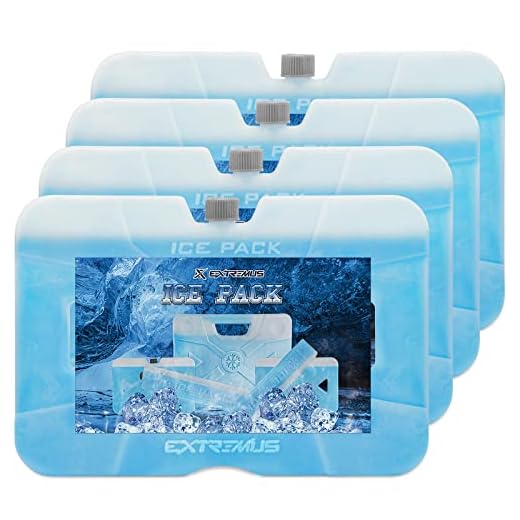 Extremus Icy Hollow Ice Packs for Cooler,Reusable Ice Packs for Lunch Bags,Long-Lasting Slim Lightweight Freezer Ice Pack for Lunch box,Ultra Slim,4-Pack