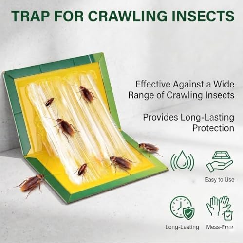 Image of Cockroach Trap for Kitchen, Sticky Insects Trap, Roach Trapp with Strong Glue Pads for Insects, Glue Traps Sticky Insects for Home, Kitchen & Indoor Pest Control