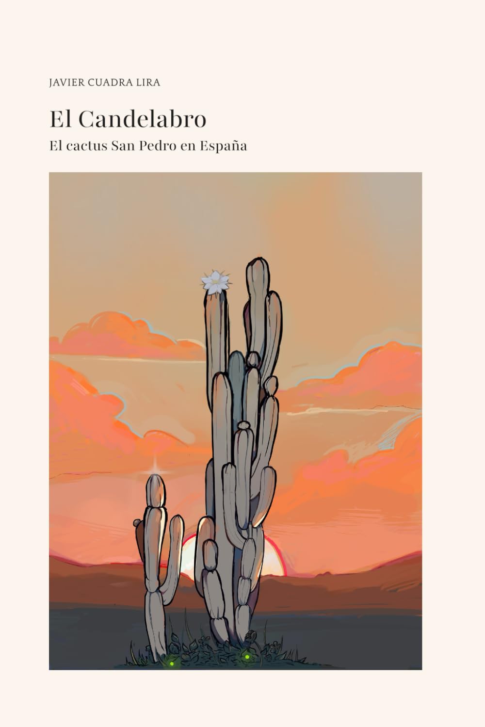 El CACTUS SAN PEDRO EN ESPAÑA. EL CANDELABRO