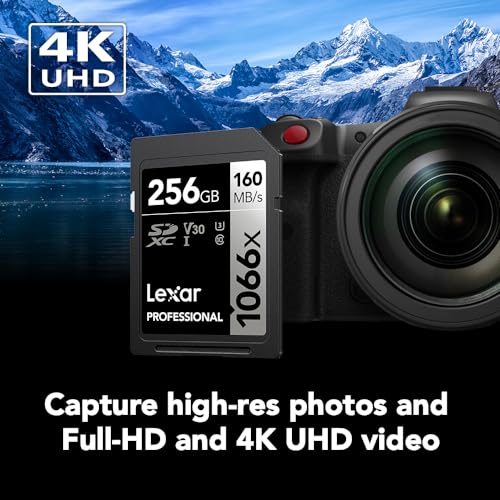 Lexar SDXC UHS-I Karte 256GB für DSLR und spiegellose Kameras