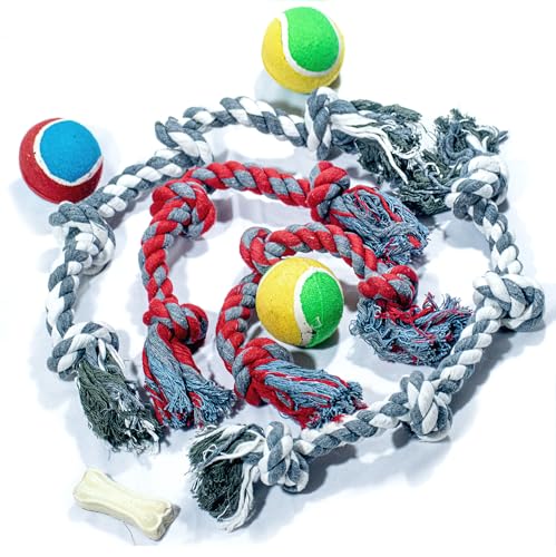 DOGGIE DOG Dog Chew Toys Combo Pack | Ball 3pcs, 4inch Bone 2pcs, 4 Knots Rope 2pcs, 3 Knots 2pcs (B0CPKCDR8Q) Amazon Price History, Amazon Price Tracker
