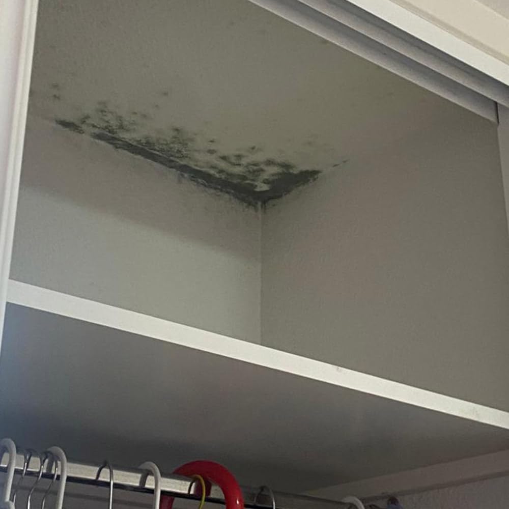 Detergente Limpiador Antihumedades 5L Sin Cloro y Sin Disolventes | Elimina las manchas de humedad sin aclarado. Ideal para paredes interiores y techos de baños, habitaciones. Sin olores.