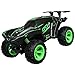 LPMGL Samochód RC w skali 1:12 z niesamowitym tylnym strumieniem mgły i oświetleniem LED w sprayu 4WD Off Road Rock Crawler High Speed Racing RC, zabawki samochodowe, terenowe, samochód (zielony)