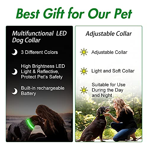Led Dog Collar- Light Up Dog Collars, Led Collar Waterproof, Adjustable Flashing Dog Collar, Rechargeable Dog Collar Visiblity & Safety For Your Dogs (Green, Large) #TOP6