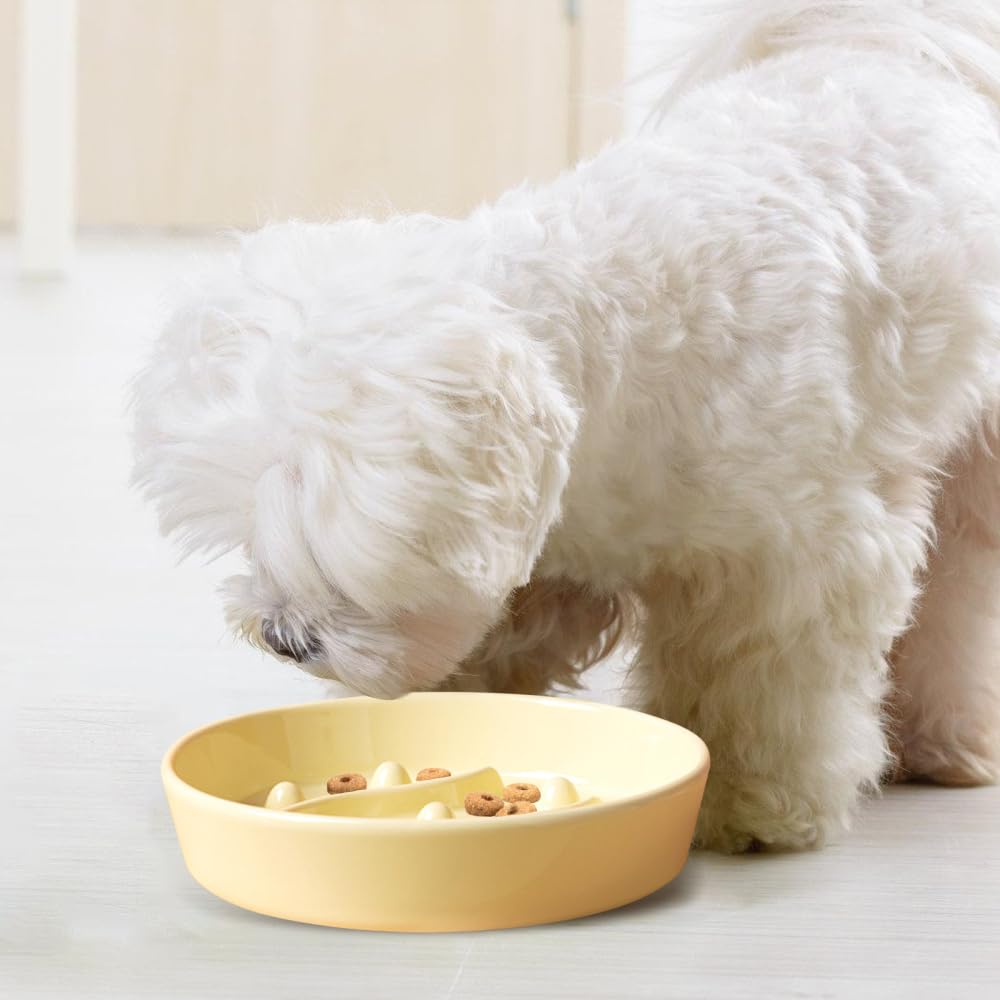 Ciotole Anti Ingozzamento per Cani, Ciotola Gatti in Ceramica con Alimentazione Lenta, Ciotole Cane Antiscivolo, per Animali di Piccola, Media, Taglia