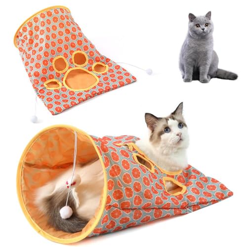 Lifetips �u���e�B�b�V���V���[�g�w�A British Shorthair �L�g���l�� �L���b�g�g���l�� �܂肽���ݎ� �y�b�g�g���l�� ���L���p �������� ���� �B��� �������� �^���s������ �X�g���X���U �R���p�N�g���[ �􂦂� �i�C������ �{�[��