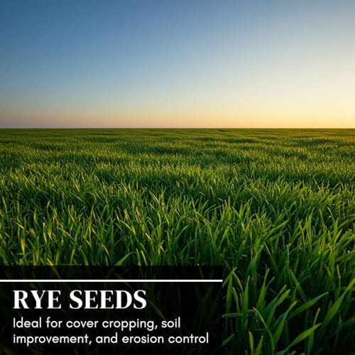Winter Rye Seed, 5 Pounds